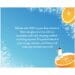 Celestial Seasonings Cold Brew Iced Tea, Citrus Sunrise, Caffeine Free, 18 tea bags (Pack of 6)
