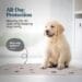 Super Absorbent Washable Pee Pads for Dogs - 2-Pack Superior Reusable Puppy Pads Pet Training Pads โ100% Waterproof Dog Pee Pad Protects Against Urine Leakage Non-Slip Grip Prevents Slipping& Bunching