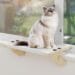 Cat Window Perch, Cat Window Hammock with Wood & Metal Frame for Large Cats, Adjustable Cat Perch for Windowsill, Bedside, Drawer and Cabinet(27.5''-White Plush) (X-Large Size - 27.5'')