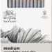 Winsor & Newton Studio Collection Artist Pencils, Graphite Pencils, Set of 12