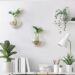 Glass Wall Hanging Terrariums, 2 Pack Glass Planters Wall Mount Vases Flower Holdes Wall Propagation for Home Decor Living Spaces (Oblate)