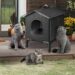 Heated Cat House for Indoor Cats in Winter, Waterproof, Fully Insulated Shelter for Stray and Feral Cats, Great for Cat Houses for Indoor Cats and Cat Beds for Indoor Cats (Black-Heat, Small)