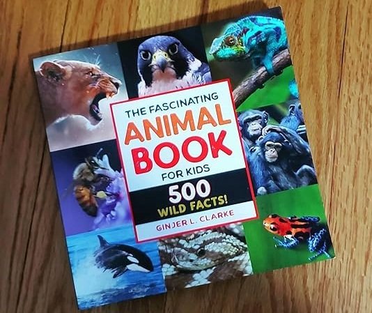 SALE! The Fascinating Animal Book for Kids
500 Wild Facts! Hardcover – Picture Book
Click ---> HERE