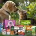 Beloved Pets pet care products featuring treats, grooming supplies, and pet essentials