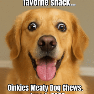 Dog with huge eyes or a dramatic surprised expression (golden retriever or corgi works great), zoomed in with drool or sparkles.