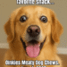 Dog with huge eyes or a dramatic surprised expression (golden retriever or corgi works great), zoomed in with drool or sparkles.