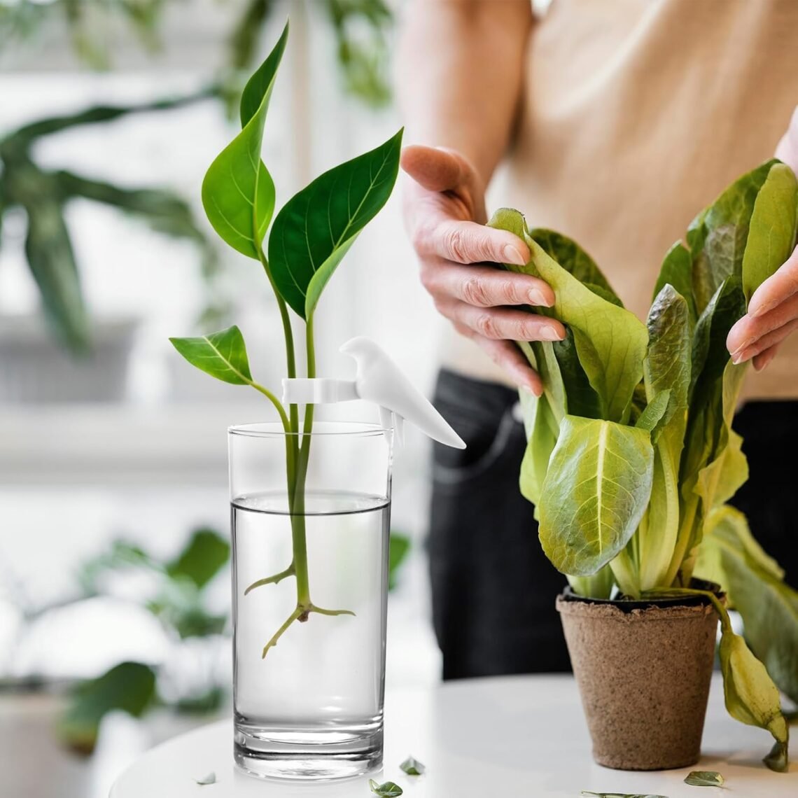 2PCS Plant Propagation Friends, Bird Shape Plant Propagation Station Plant Cutting Holder Plant Propagation Buddy Plant Support for Sprouts Stems Shoots Cutting Indoor and Outdoor Gardening