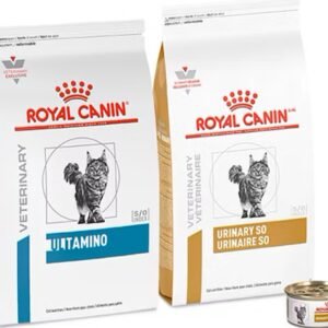 Royal Canin cat food products displayed together, including dry and wet food packages.