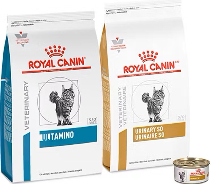 Royal Canin cat food products displayed together, including dry and wet food packages.