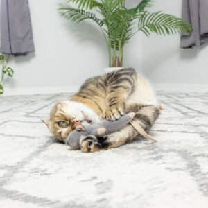 SPOT Flat Mouse Frankie with Catnip - Cat Toy, Fuzzy Mice with Catnip and Crinkle Sound, Perfect Size for Pouncing on, Chasing, Hunting - 5.5in Plush Toys,.