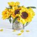 A rustic galvanized metal vase filled with bright yellow sunflowers sits on a white surface. A few sunflower petals are scattered around the base, adding a cheerful touch.