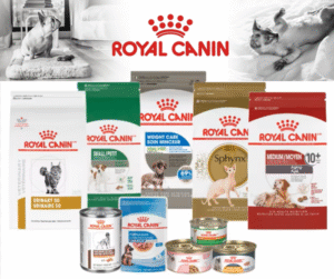 Royal Canin dog and cat food products featuring pet nutrition formulas for puppies, kittens, adult pets, and senior animals