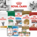 Royal Canin dog and cat food products featuring pet nutrition formulas for puppies, kittens, adult pets, and senior animals