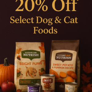 Assorted Rachael Ray Nutrish dog and cat foods, including dry and wet options, arranged with pumpkins and autumn leaves in fall colors.