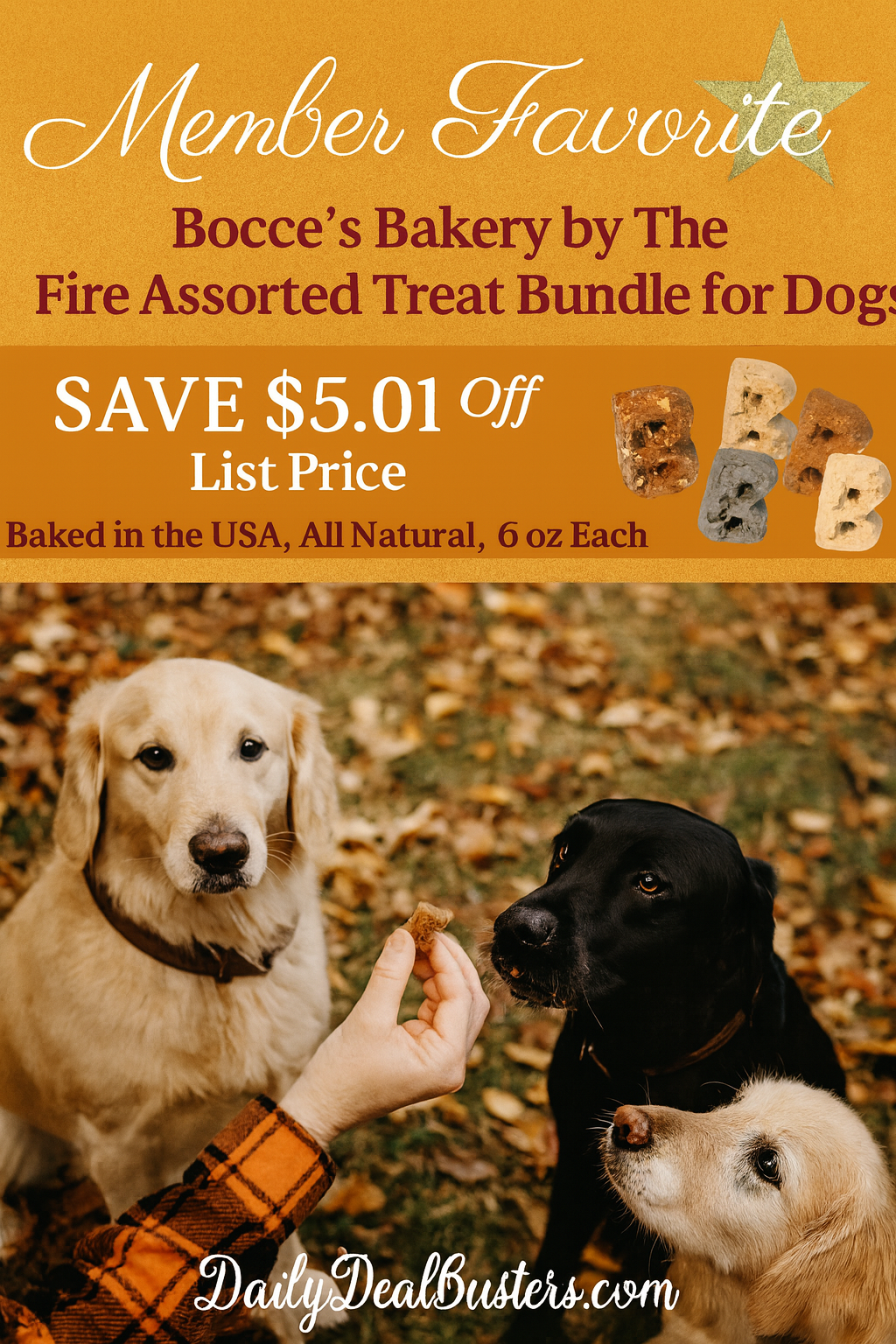 Person treating three dogs with soft-baked Bocce’s Bakery cookies outdoors in a fall setting