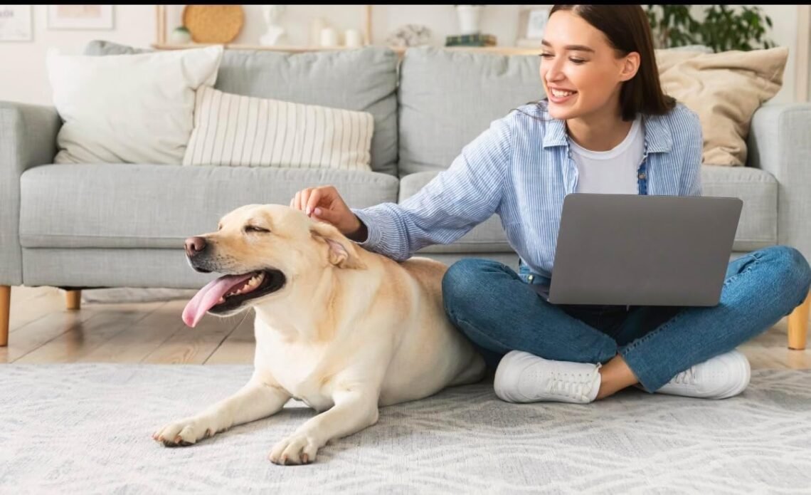 A happy pet owner connecting with a veterinarian on a tablet for a virtual pet consultation at home.