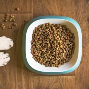 Dog food poured into a bowl beside a full bag of dry kibble