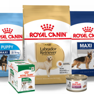 Royal Canin dog food products including breed-specific dry food and wet food formulas for dogs