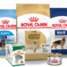 Royal Canin dog food products including breed-specific dry food and wet food formulas for dogs