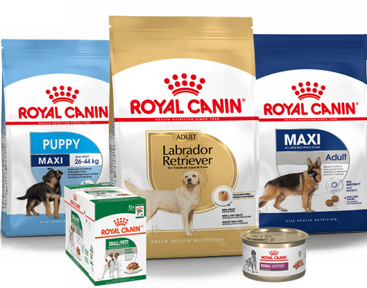 Royal Canin dog food products including breed-specific dry food and wet food formulas for dogs