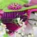 A bright spring-themed cleaning setup featuring floor care products with soft blue skies, light clouds, and subtle cherry blossom accents for a clean seasonal feel