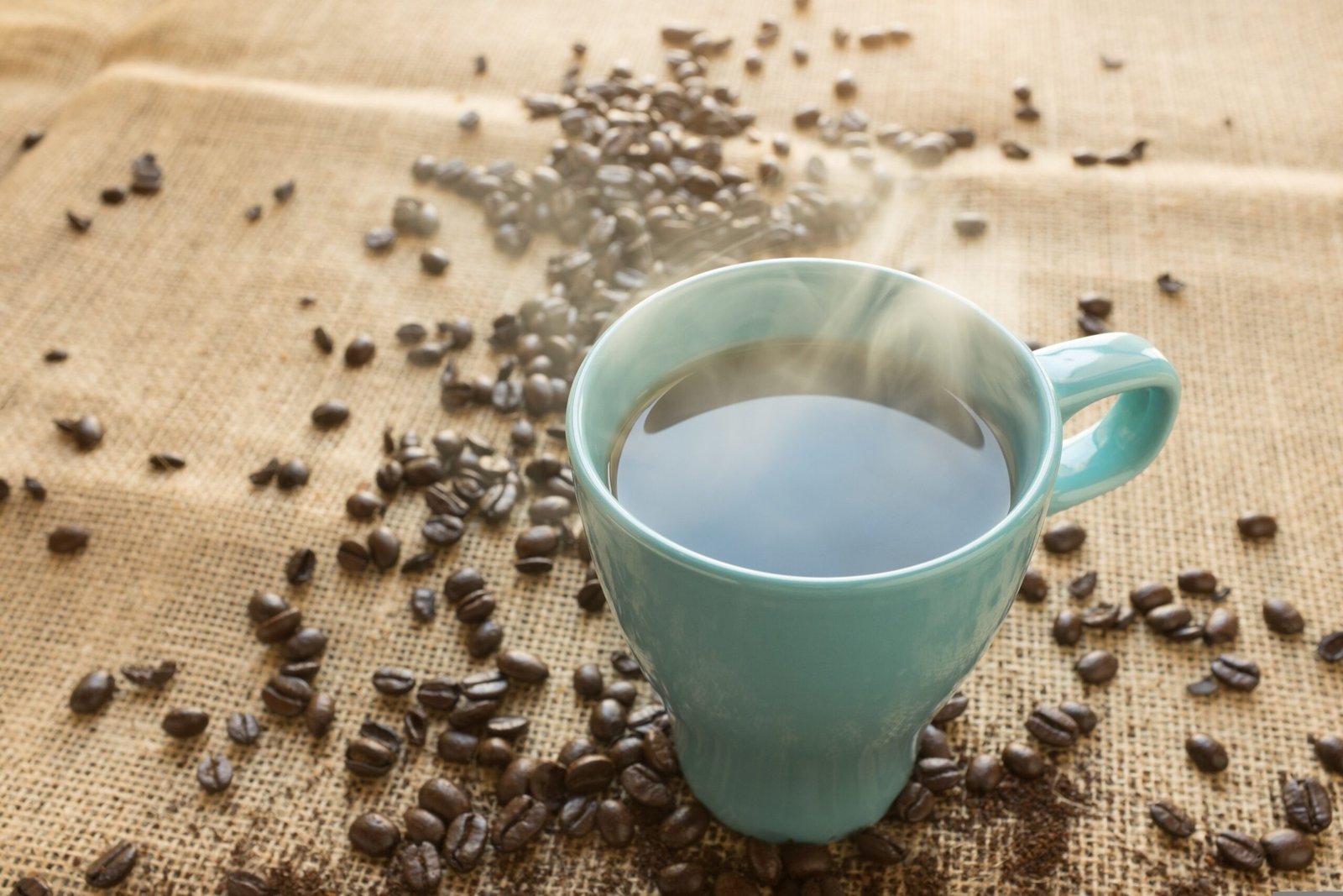 Fresh Roasted Coffee