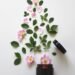 A soft spring-themed beauty setup featuring skincare and natural wellness products with light clouds, soft blue skies, and subtle cherry blossom accents for a calm seasonal feel
