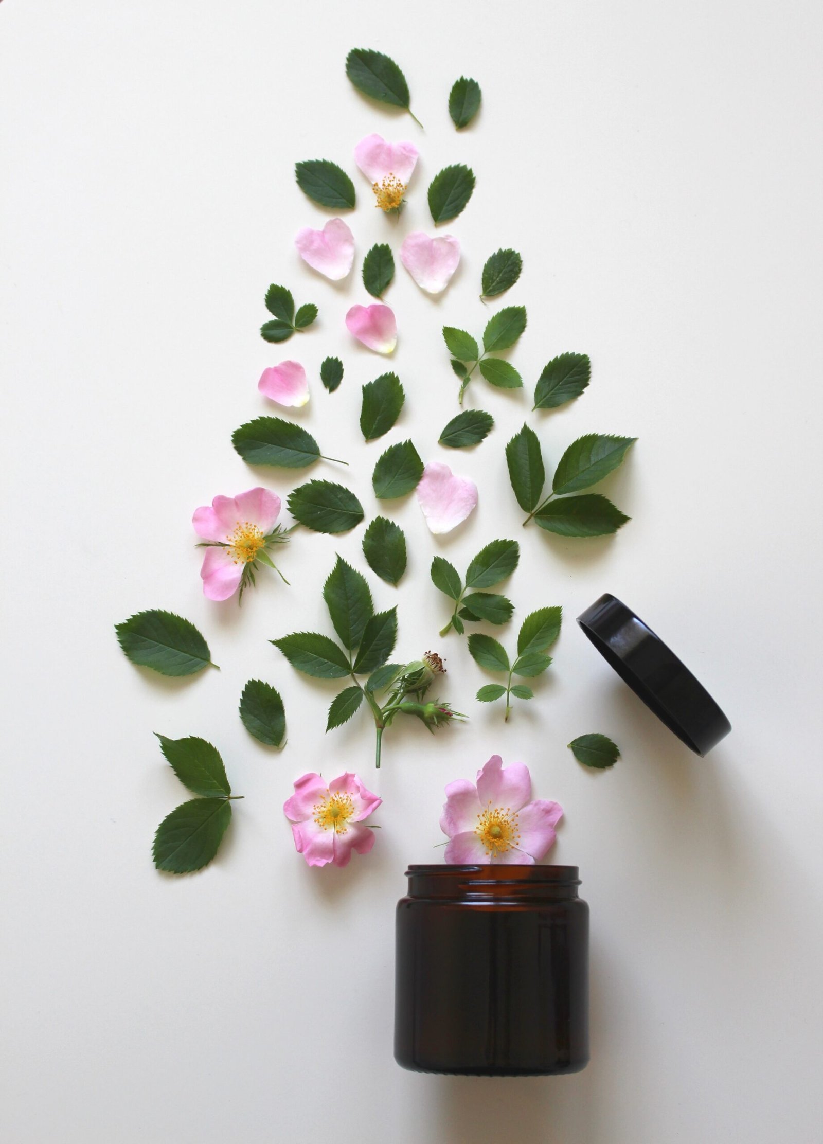 Beauty Deals for Natural Self Care