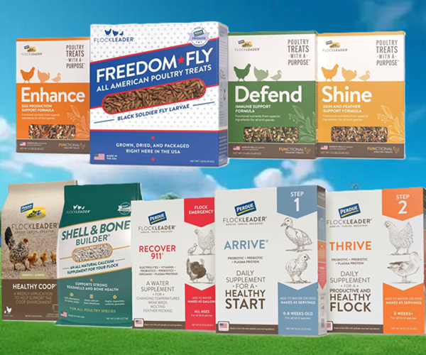 FLOCKLEADER poultry products including chicken supplements, poultry treats, black soldier fly larvae, and chicken coop care products.