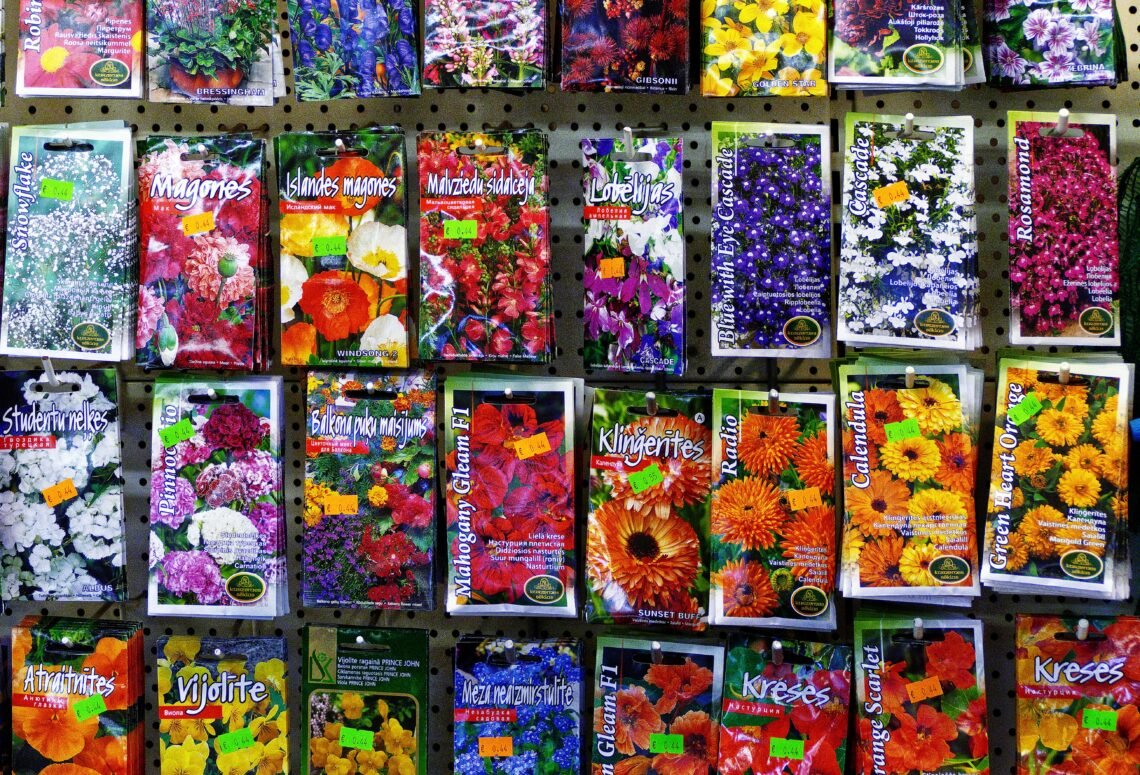 Colorful seed packets displayed for gardeners to choose from.