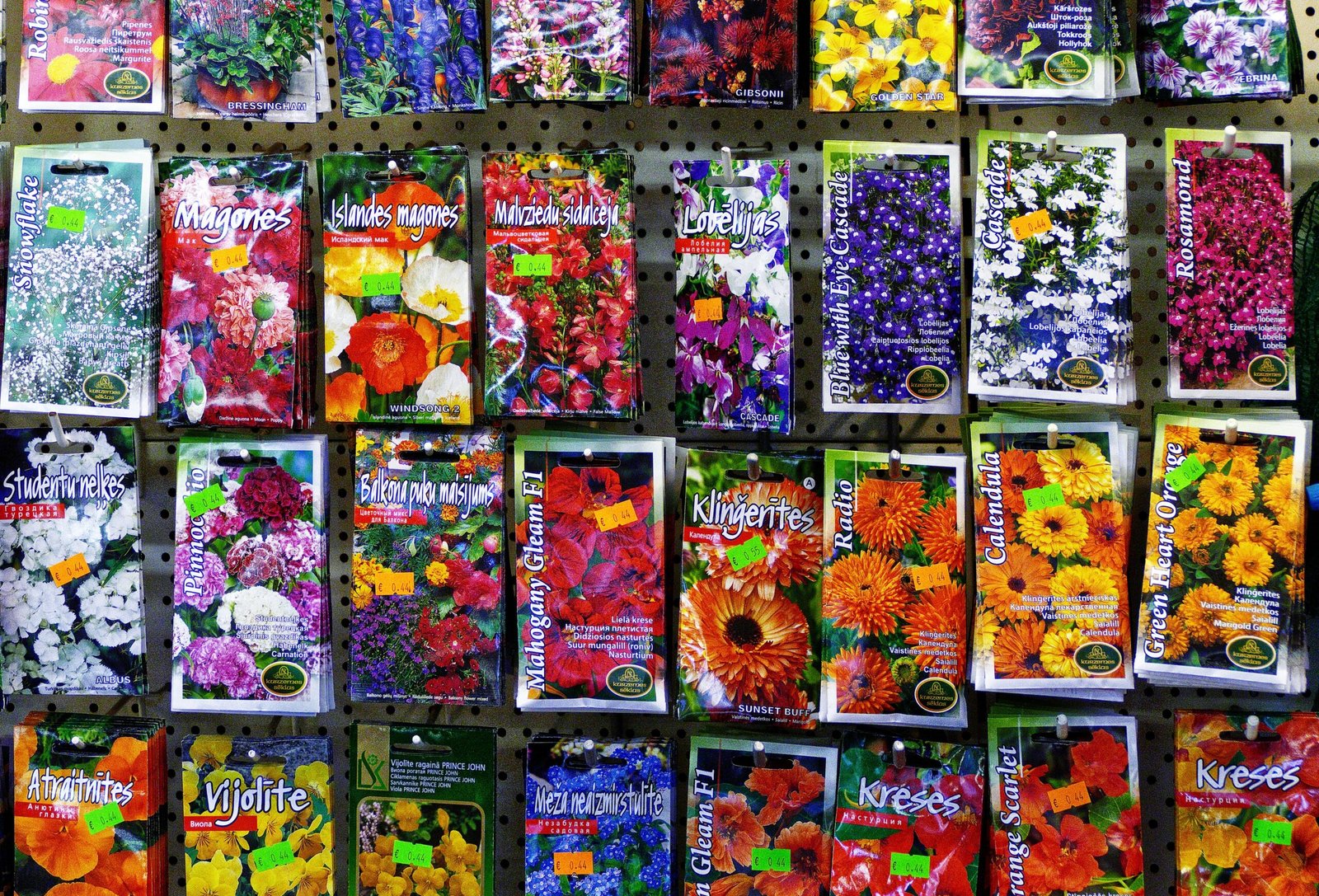 Colorful seed packets displayed for gardeners to choose from.